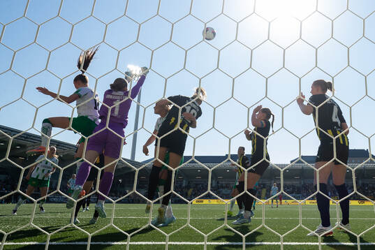 Goalkeeper Fanney Inga Birkisdottir of Häcken