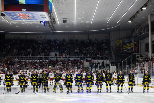 Players of Sweden