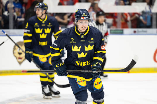 Ivar Stenberg of Sweden celebrates