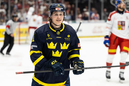 Bläddra bland fler bilder av Ice Hockey, Czech Hockey Games, Czech Republic - Sweden