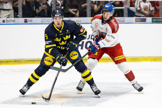 Linus Karlsson of Sweden and Tomas Cibulka of Czech Republic