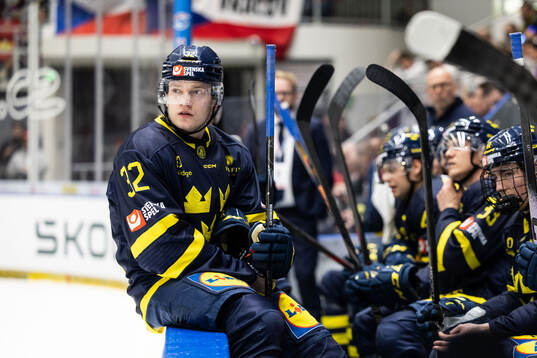 Theodor Niederbach of Sweden