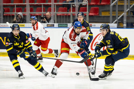Jacob Larsson and Liam Öhgren of Sweden against David