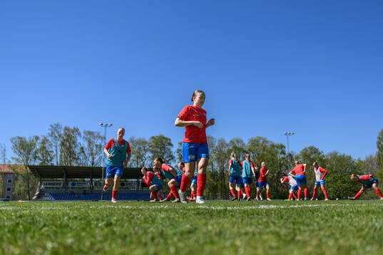 Helsingborgs spelare
