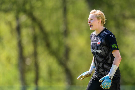 under fotbollsmatchen i Division 1 södra mellan