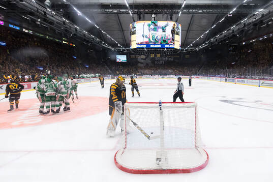 Skellefteås målvakt Linus Söderström deppar och Rögles