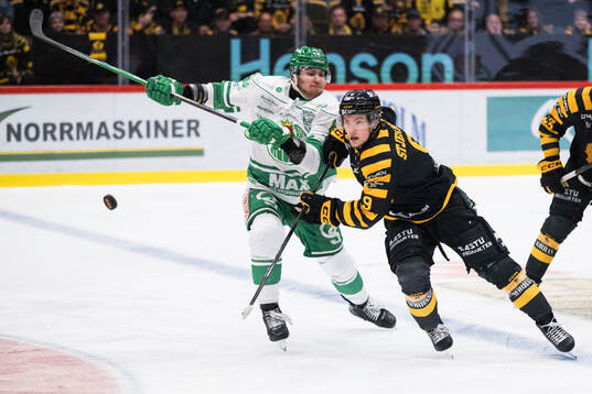 Rögles Lubos Horky och Skellefteås Victor Stjernborg