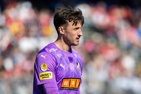 Häckens målvakt Andreas Linde
