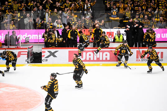 Skellefteås spelare jublar