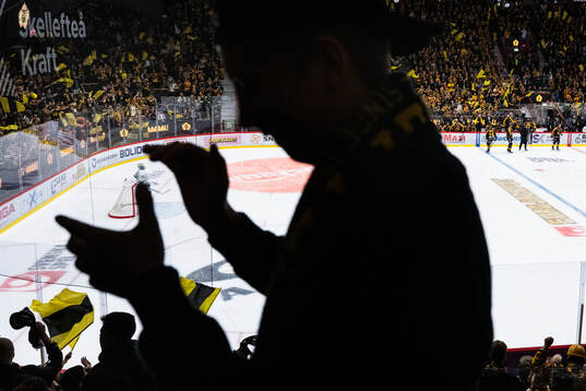 Skellefteås supportrar jublar