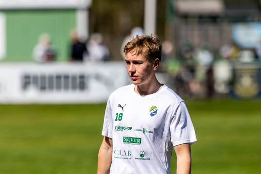 Ljungskiles Hugo Borstam
