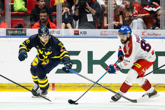 Theodor Niederbach of Sweden and Radovan Pavlik of Czech