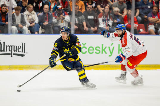 André Petersson of Sweden and Libor Zabransky of Czech