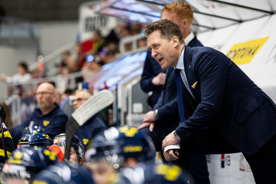 Head coach Sam Hallam of Sweden