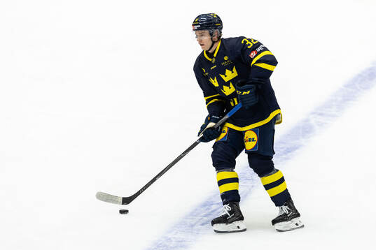 Theodor Niederbach of Sweden