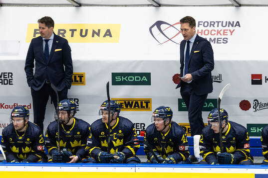 Head coach Sam Hallam of Sweden