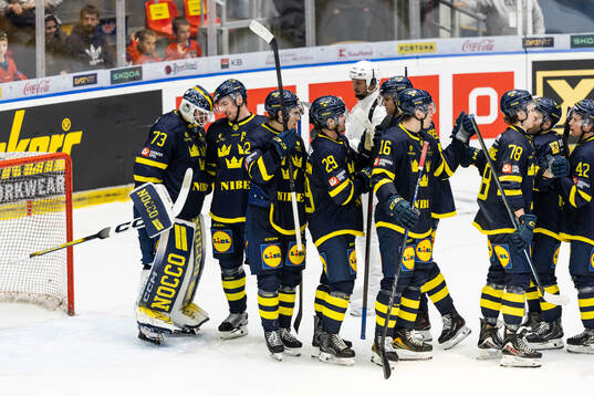 Goaltender Love Härenstam of Sweden celebrates with team