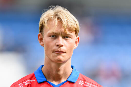 Helsingborgs Alvin Nordin