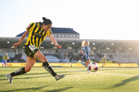 Häckens Nesrin Akgun