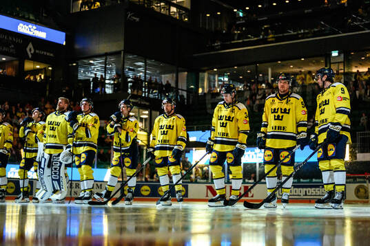 Players of Sweden