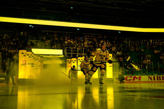 Liam Öhgren of Sweden ahed of the Beijer Hockey Games game