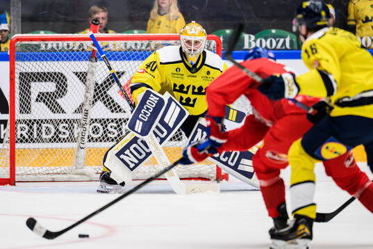 Goaltender Arvid Söderblom of Sweden