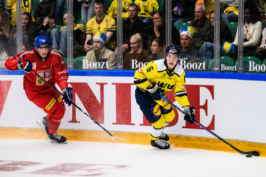 Libor Hájek of Czech Republic and Isac Hedqvist of Sweden