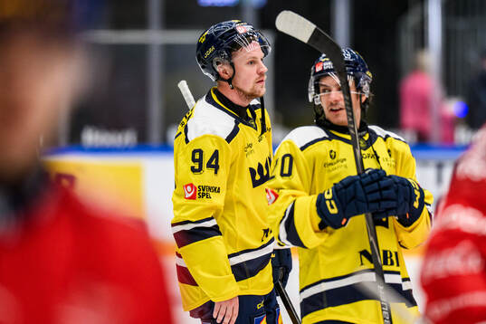 Joel Persson and André Petersson of Sweden looks dejected