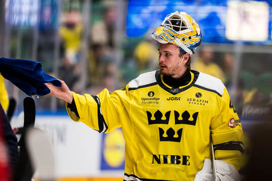 Goaltender Arvid Söderblom of Sweden