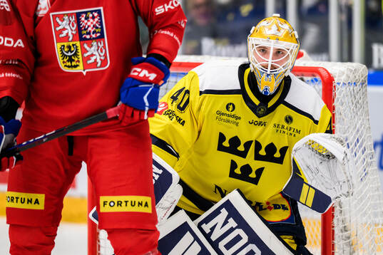 Goaltender Arvid Söderblom of Sweden