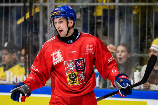 Kristian Reichel of Czech Republic celebrates scoring 2-0