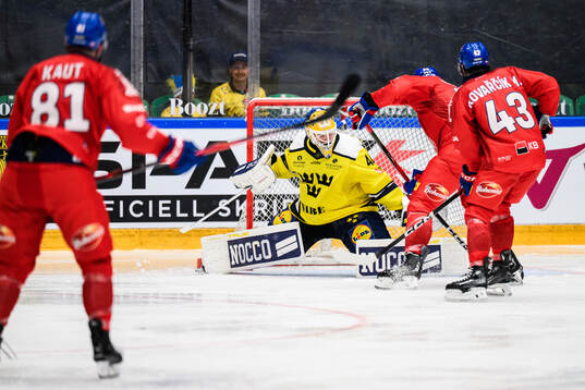 Goaltender Arvid Söderblom of Sweden