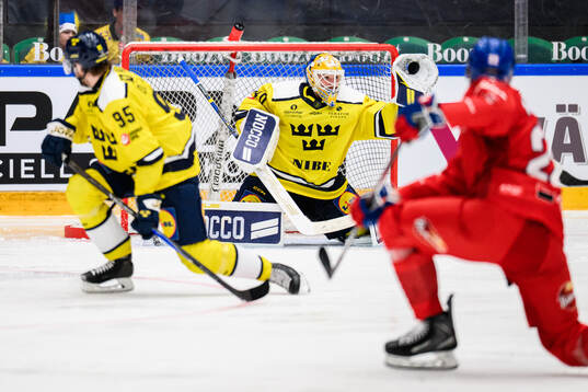 Goaltender Arvid Söderblom of Sweden