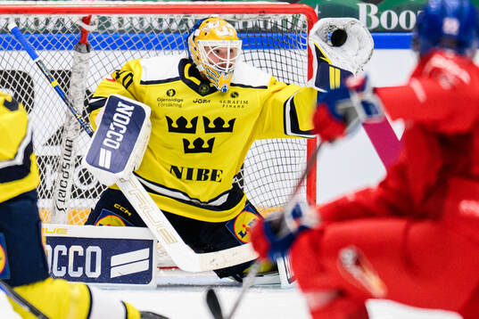 Goaltender Arvid Söderblom of Sweden