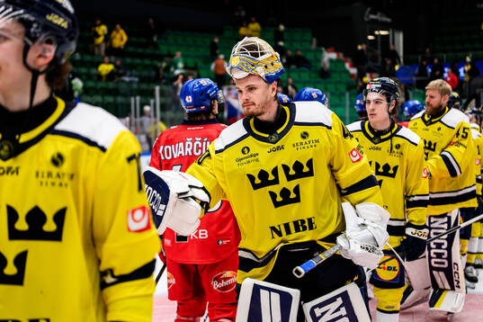Goaltender Arvid Söderblom of Sweden