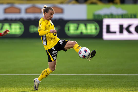Elfsborgs Niklas Hult