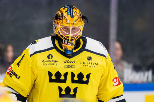 Goaltender Johan Holmqvist of Sweden Legends