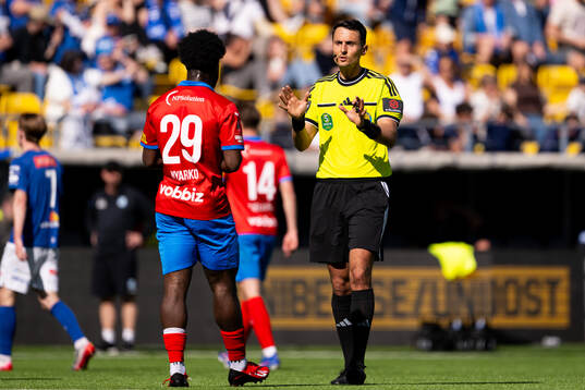 Domare Adi Aganovic