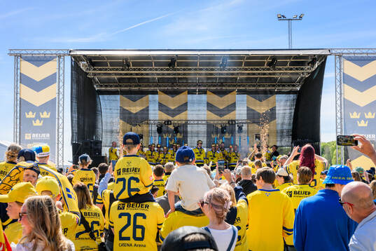 Players of the Swedish national u20 ice hockey team are