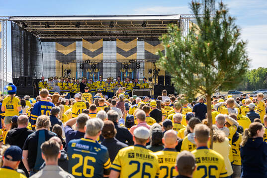 Players of the Swedish national u20 ice hockey team are