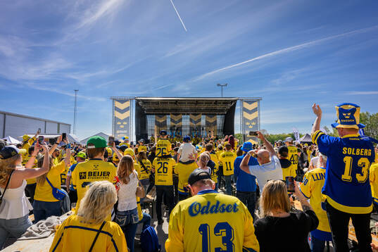 Players of the Swedish national u20 ice hockey team are