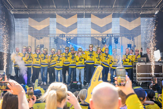 Players of the Swedish national u20 ice hockey team are