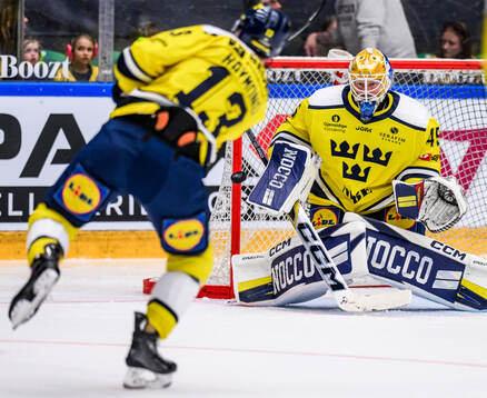 Goaltender Magnus Hellberg of Sweden