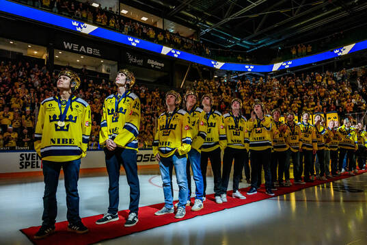 Players of Sweden