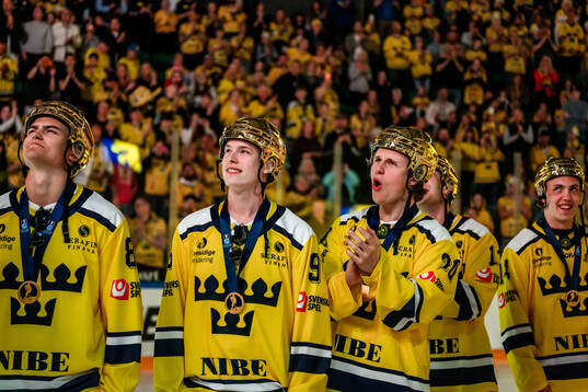 Players of the Swedish national u20 ice hockey team are