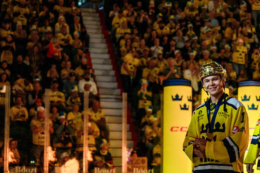 Swedens Herman Liv