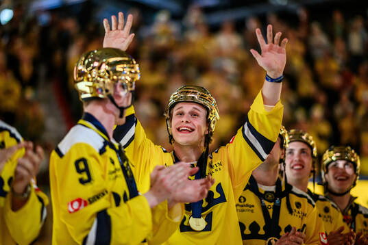 Anton Freij of the Swedish national u20 ice hockey team are