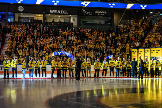 Players of the Swedish national u20 ice hockey team are