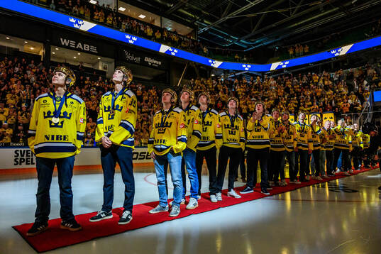Players of the Swedish national u20 ice hockey team are