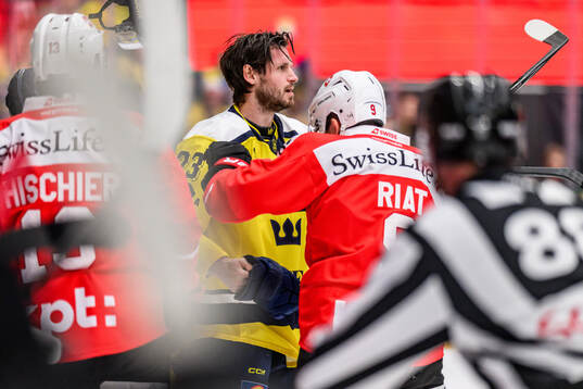 Oliver Ekman-Larsson of Sweden and Damien Riat of Schweiz